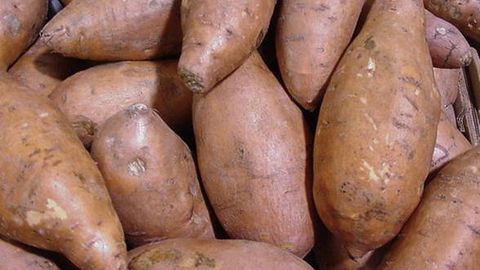 Cartoful dulce de Dabuleni