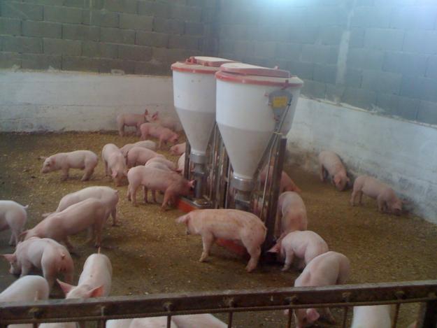 Misiune de audit în Argeș