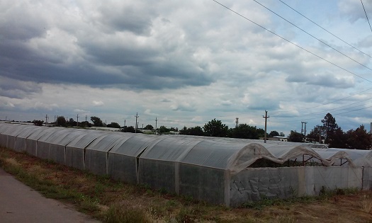 Azi despre ieri – 15 iunie 2015