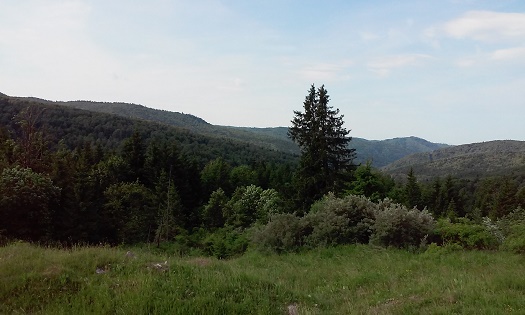 Azi despre ieri – 2 iulie 2015