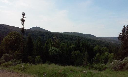 Azi despre ieri – 27 iunie 2015