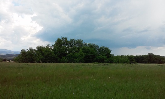 Azi despre ieri – 24 iunie 2015