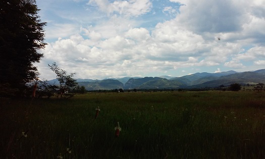 Azi despre ieri – 29 iunie 2015