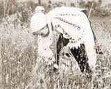 23 IUNIE- CULEGEREA PLANTELOR DE LEAC SI DE DRAGOSTE