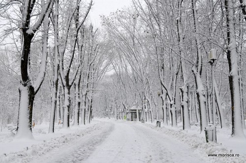 Proză SF : Zăpezile acestei ierni