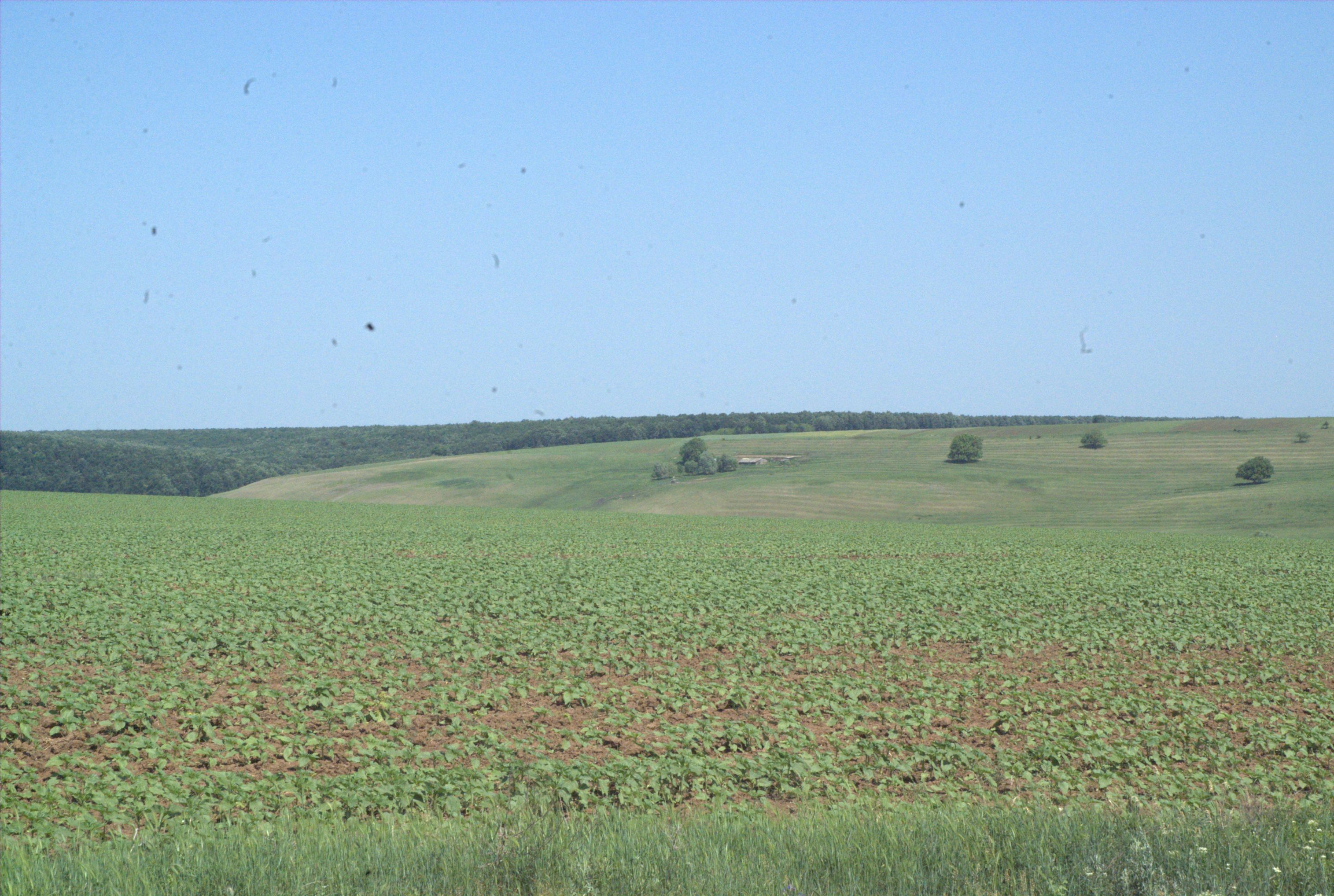 Plăți suplimentare