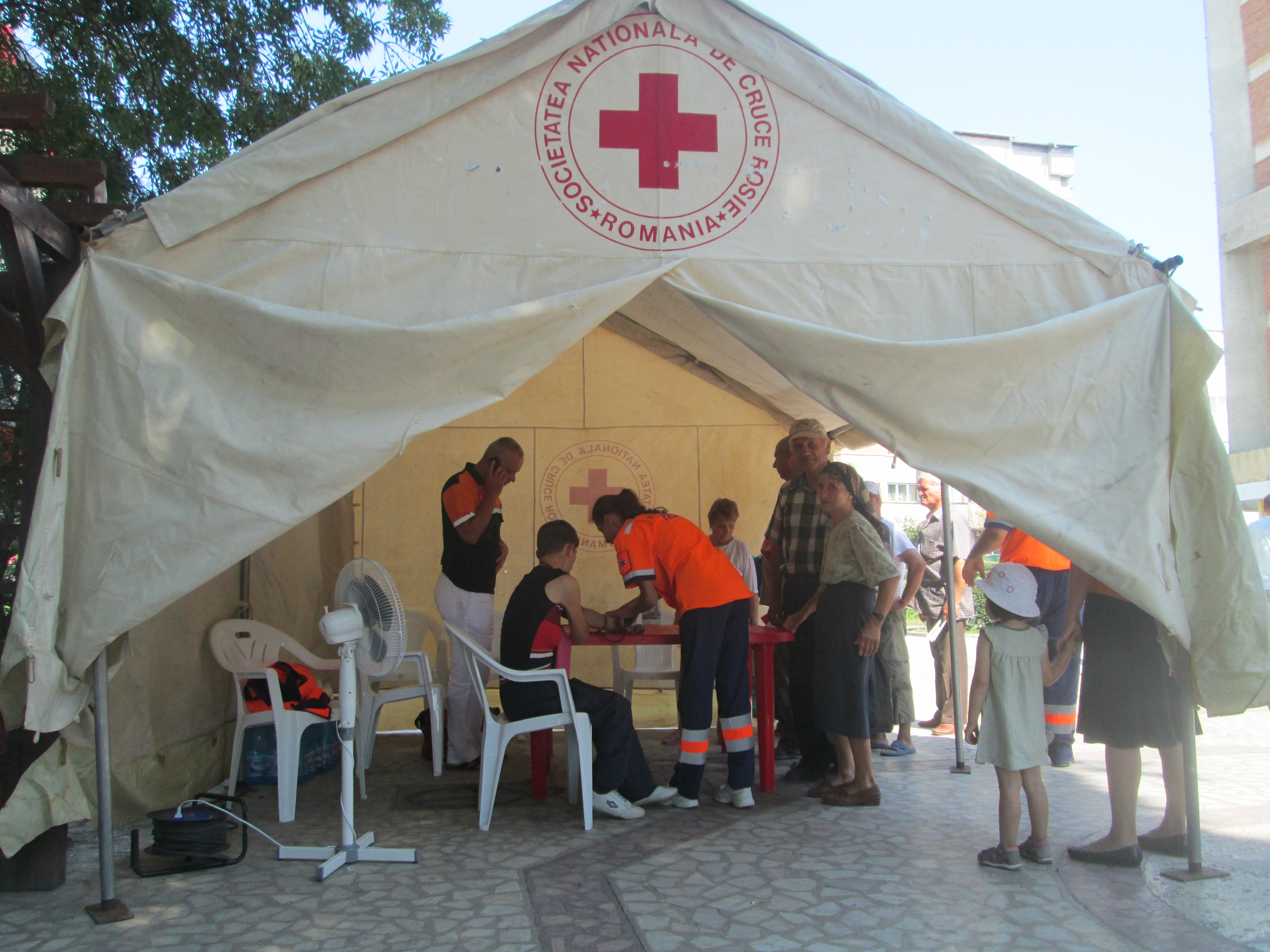 Prim ajutor in caz de canicula