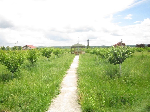 Azi despre ieri – 16 iunie 2015