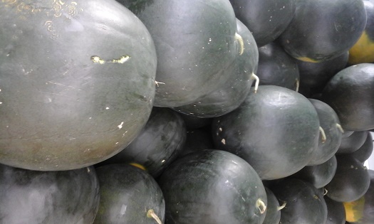 Casa Pepenilor Verzi