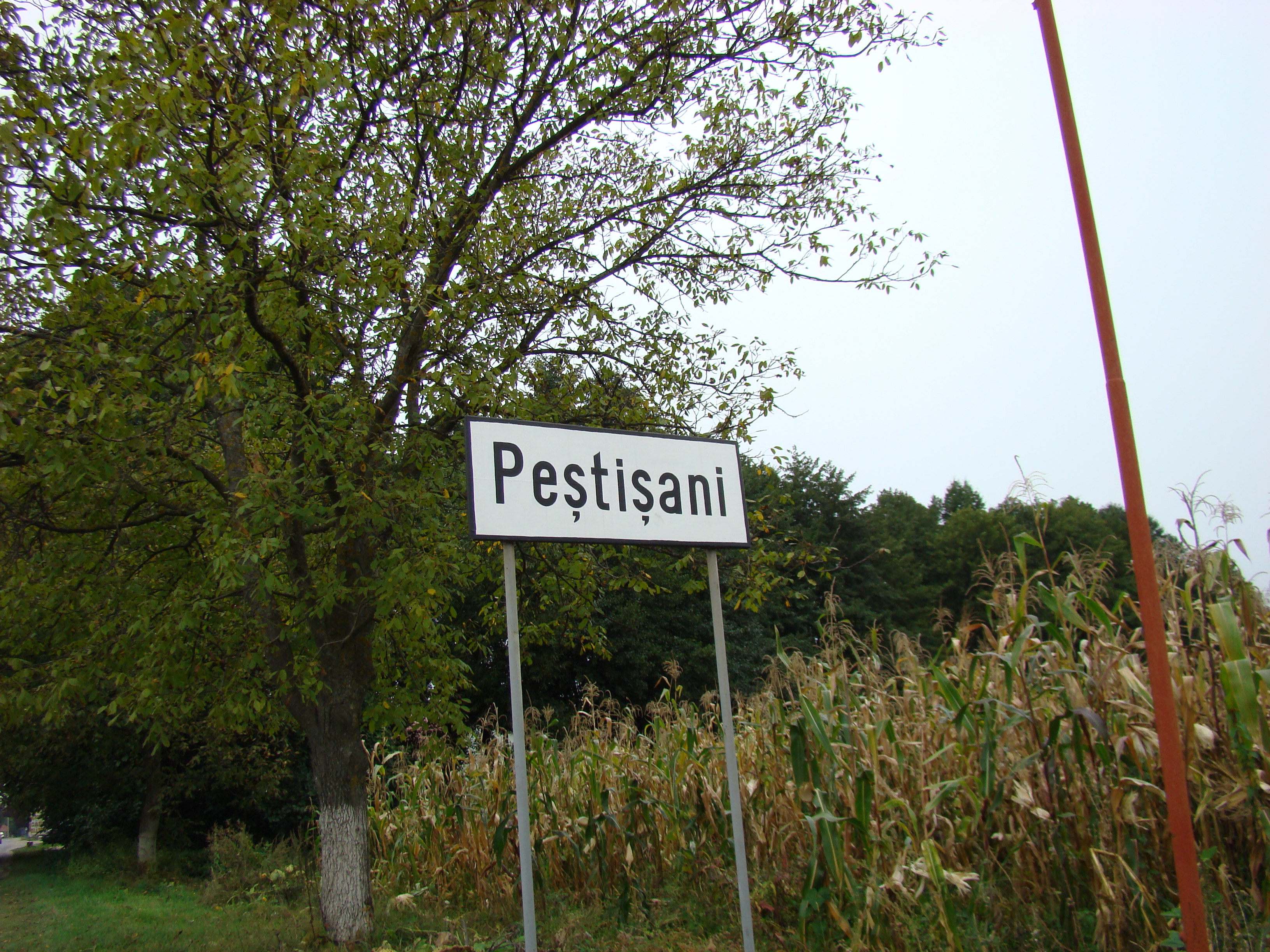 Primar somat sa se autosuspende