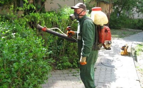 Dezinsecție la Craiova