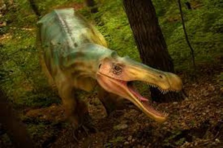 Astazi se deschide Dino Parc Râşnov