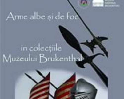 Expoziție de arme la Vâlcea