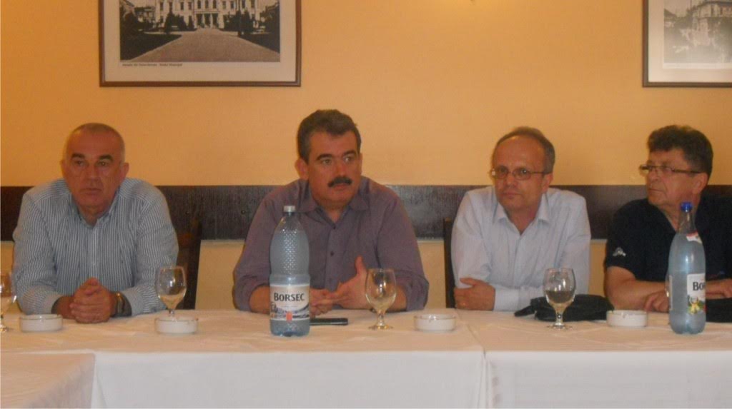 Andrei Gerea la Severin