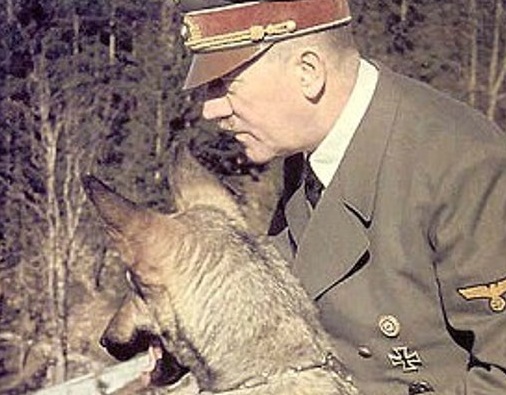Naziștii și câinii