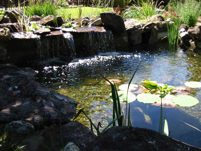 Campanie de verificare a iazurilor