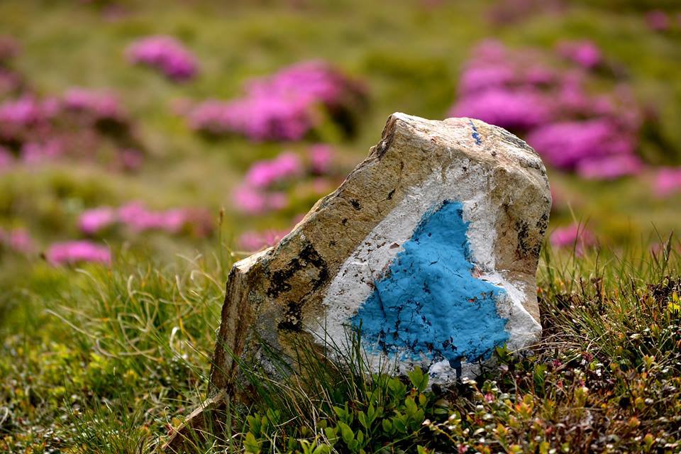 Marcajul turistic in Parang, refacut