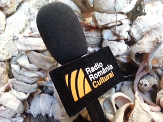 O vara spectaculoasa la Radio Romania Cultural