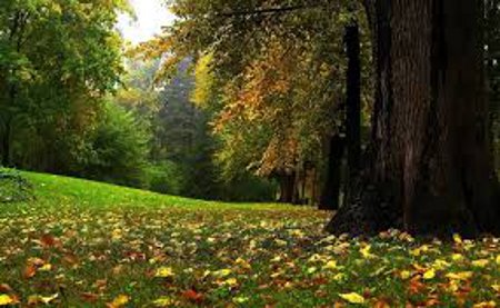 Arii naturale protejate in Olt