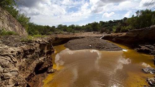 Dezastru ecologic la Săpata