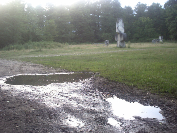 Reabilitare programată