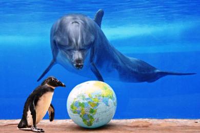 Ziua Mondiala a oceanelor