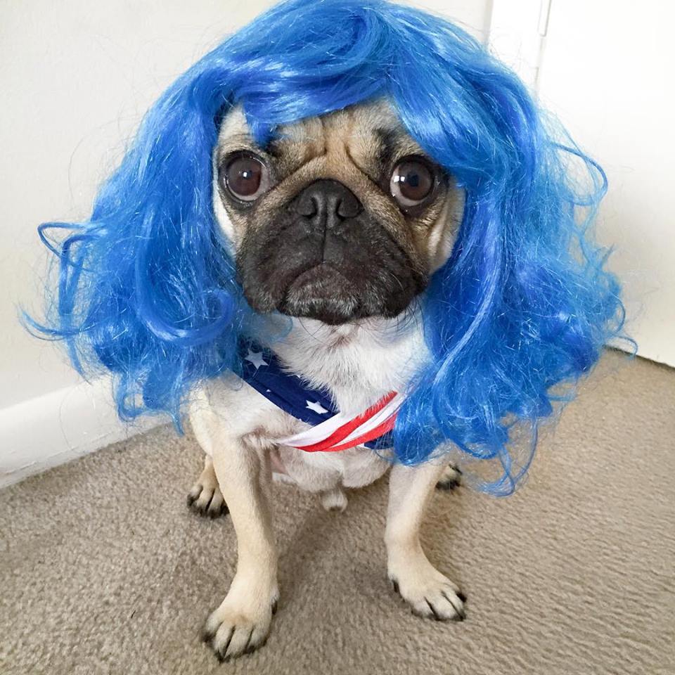 Picture of the Day: Groovy baby, it’s almost the weekend!