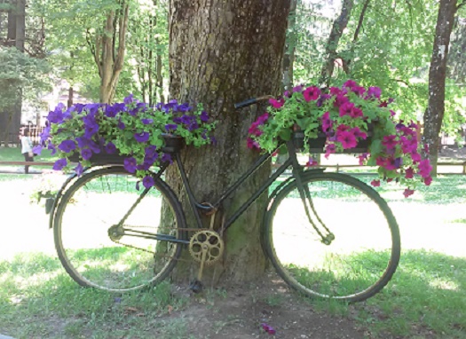 Azi despre ieri – 8 iulie 2015