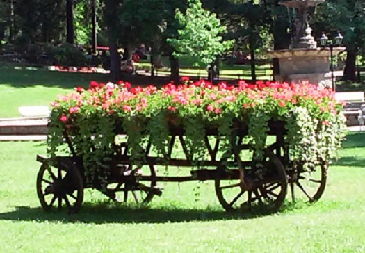 Azi despre ieri – 7 iulie 2015