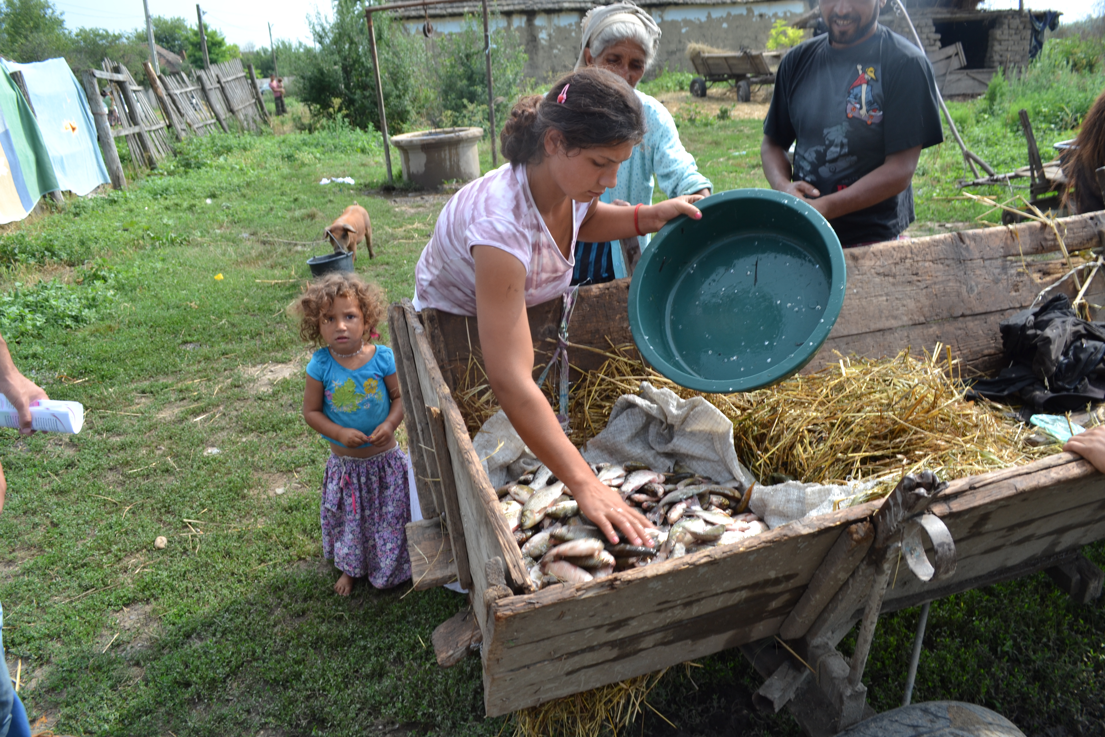 Stil de viata sanatos