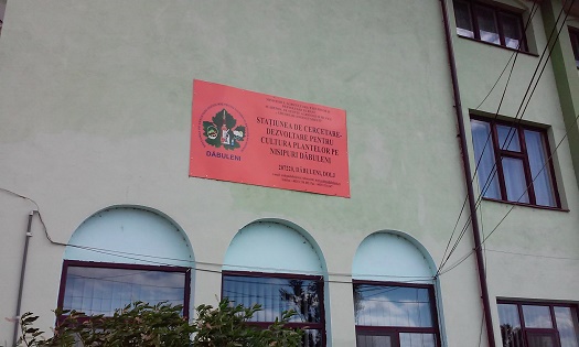 Simpozion la Dăbuleni