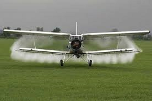 Dezinsecție la Târgu Jiu