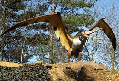 Dinozaurii cu pene au existat intr-adevar! Noi fosile gasite in China