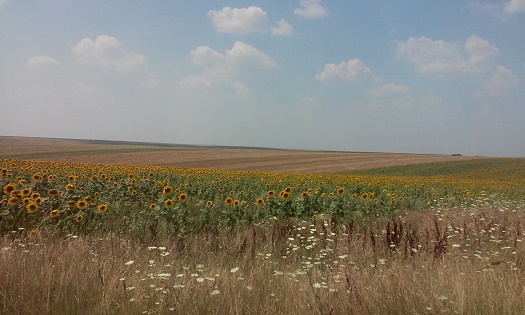 Azi despre ieri – 4 august 2015