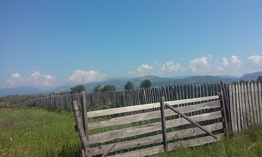 Azi despre ieri – 25 iulie 2015