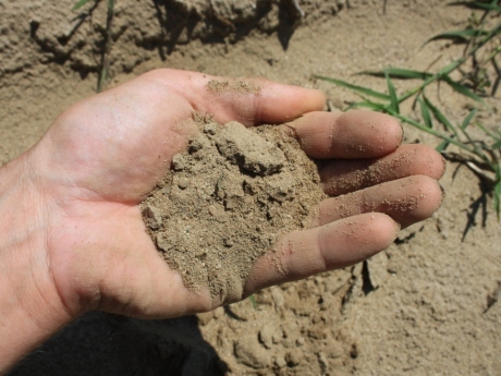 Simpozion pe teme agricole