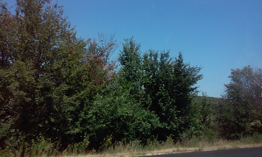 Azi despre ieri – 30 iulie 2015