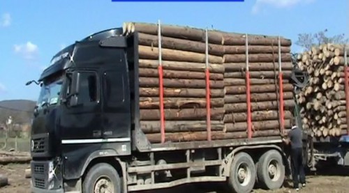 Transport ilegal de lemne, depistat de poliţişti