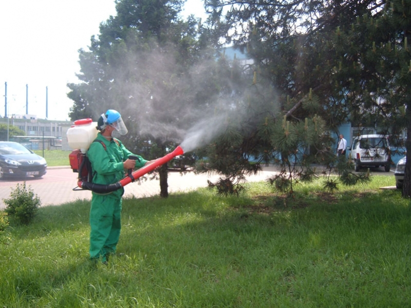 Dezinsecție la Giurgiu