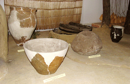 Cetate dacică la Stoina