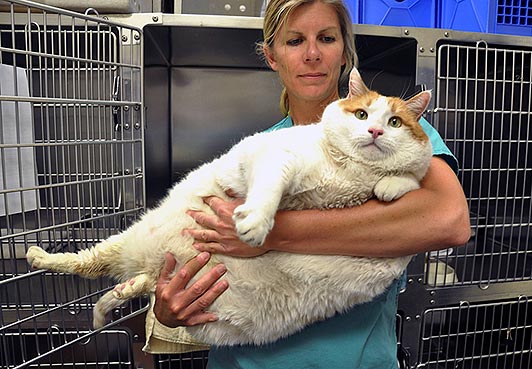 Picture of the day: Did you just call me fat?!?