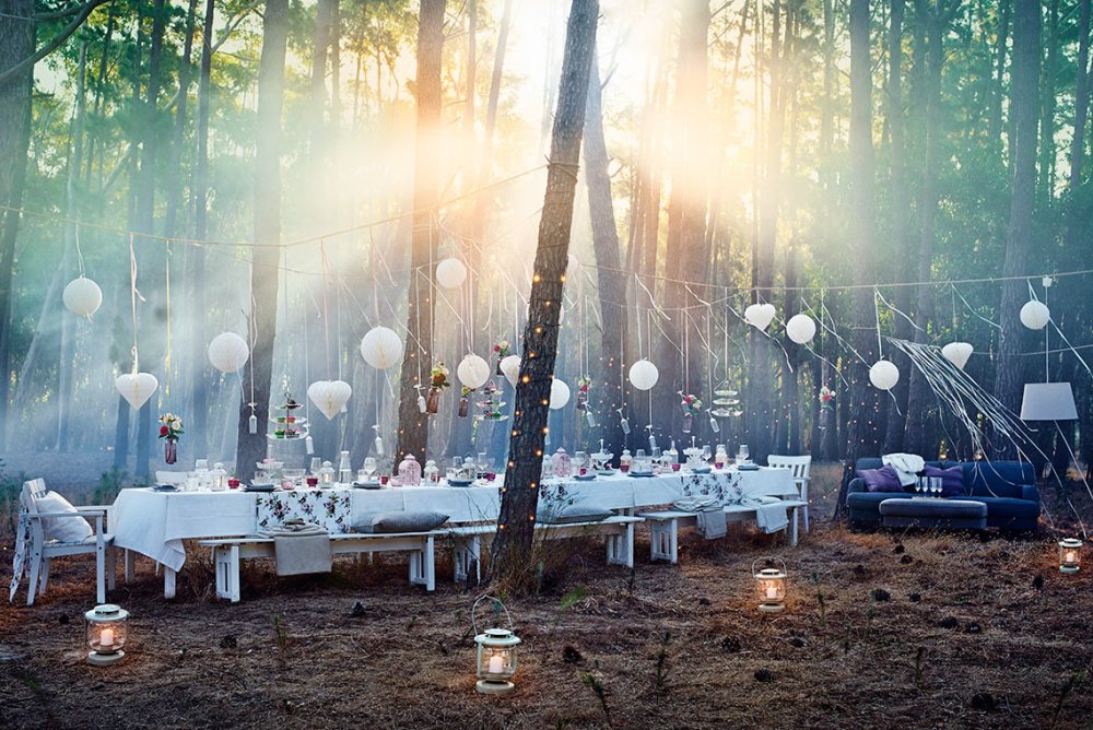 IKEA – cel mai mare proprietar de padure din Romania