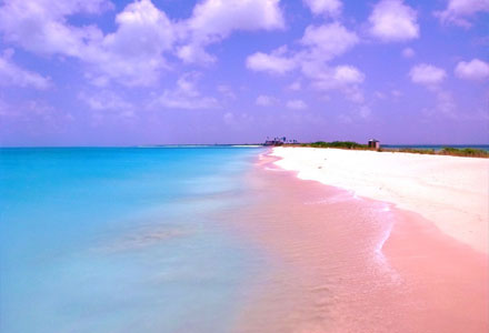 Picture of the Day: Pink sand beach