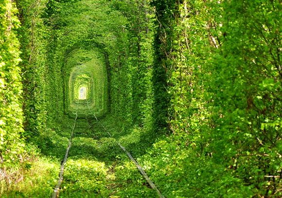 The Love Tunnel