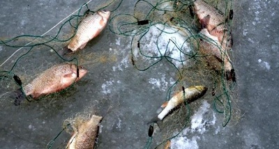 Doljeni cercetați penal pentru braconaj