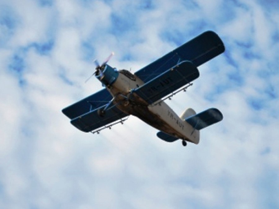 Pulverizare impotriva insectelor