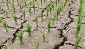 La pierderi mari, impozit mic!