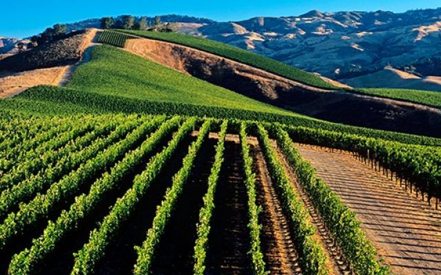 Romania solicita sprijin comunitar