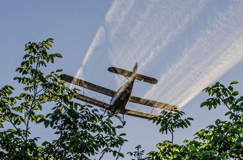 Stropiri cu insecticide la Giurgiu