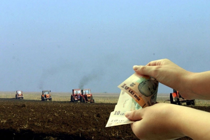 Mai putine subventii